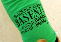 バセバセTシャツ(緑)
